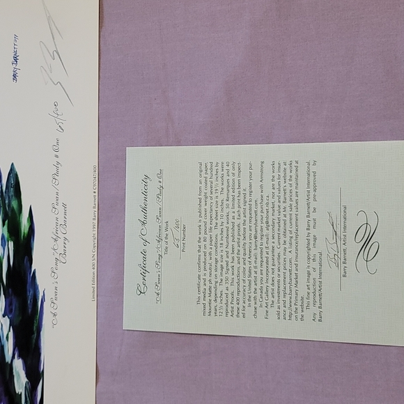 A Swan Song African Swan Limited Edition Print - Picture 2 of 2